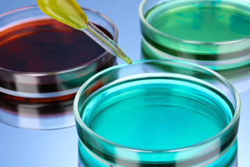 color liquid in petri dishes on blue background