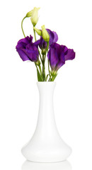 Bouquet of eustoma flowers in vase isolated on white