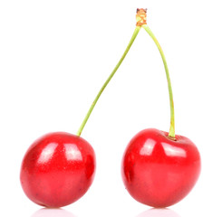 Cherry pair isolated on white macro shot