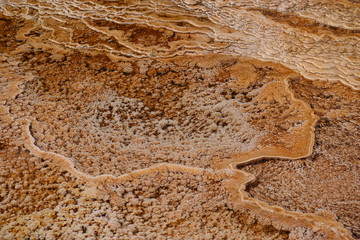 Nationalpark Yellowstone