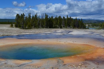 Nationalpark Yellowstone Pool