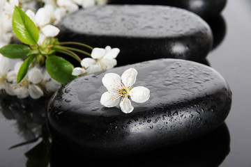 Fototapeta na wymiar Spa stones and white flowers on dark background