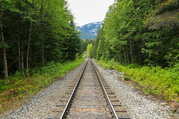 Waldbahn