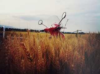 scooter