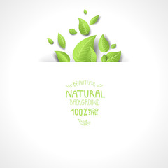 Green leaves background