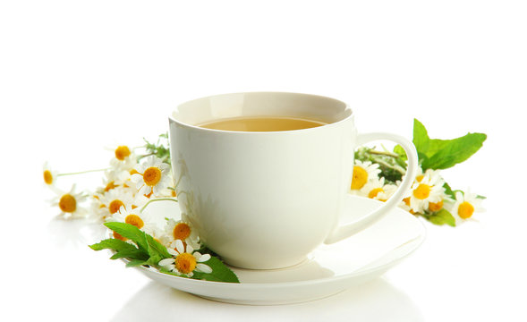 Cup of herbal tea with wild camomiles and mint, isolated