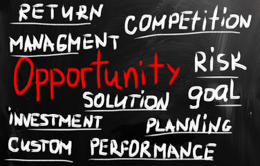 Business ideas handwritten with white chalk on a blackboard.