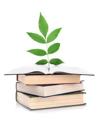 Books with plant isolated on white