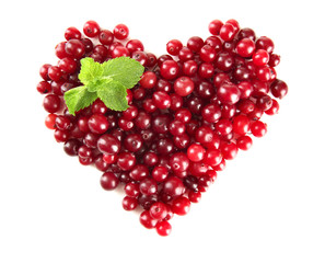 Ripe red cranberries, isolated on white.