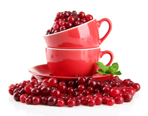 Ripe red cranberries in cups, isolated on white.