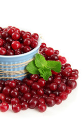 Ripe red cranberries in bowl, isolated on white.