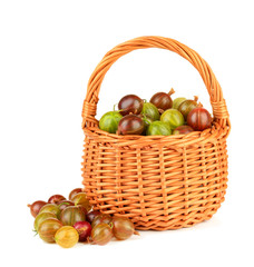 Fresh gooseberries in wicker basket isolated on white