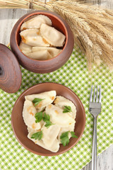 Tasty dumplings with fried onion