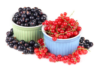 Red and black currant in bowls isolated on white