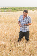 farmer standing in a wheat field
