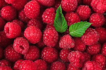 Ripe sweet raspberries, close up