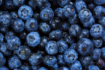 blueberries background