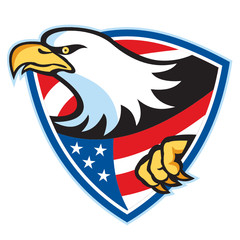 American Bald Eagle Flag Shield