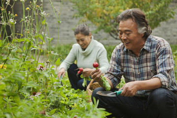 Senior couple in garden