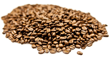 beans of coffee isolated on white background