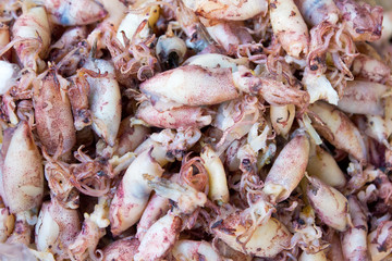 Dried squid