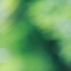 natural green background