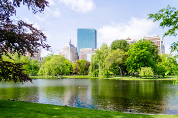 Boston Public Garden