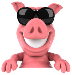 Fun pig