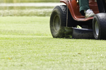 The gardener was mowing