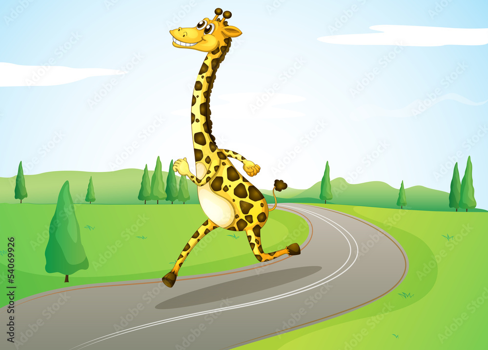 Wall mural A giraffe running along the road