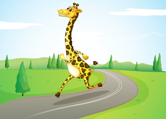 Naklejka premium A giraffe running along the road