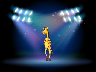 A giraffe standing in the middle of the stage