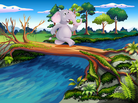 An elephant crossing a tree bridge