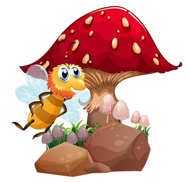 A bee near the red giant mushroom