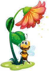A bee standing under the big flower