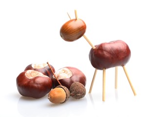 Chestnut and acorn animal on white background.
