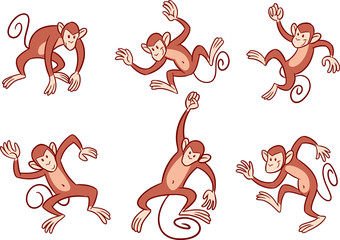 Obraz premium monkeys