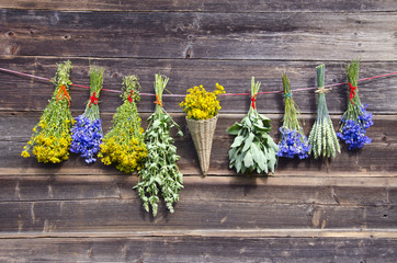 many summer medical herbs bunches on wooden wall