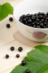 Black currants  in a bowl