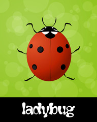 Vector underwater summer background, seamless pattern