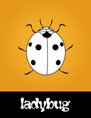 Vector underwater summer background, seamless pattern