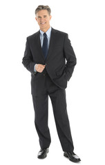 Portrait Of Confident Mature Businessman In Formals