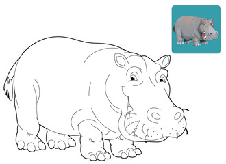 Cartoon safari - coloring page - illustration for the children