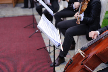Musicians in Yard