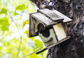 Bird house.