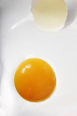 Egg