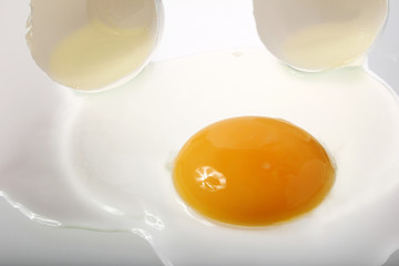 Egg
