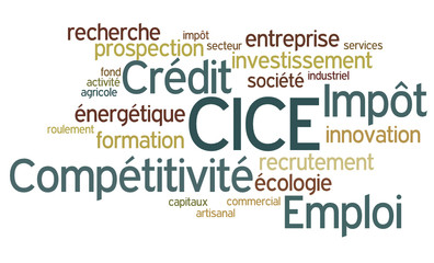 Nuage de Mots : CICE
