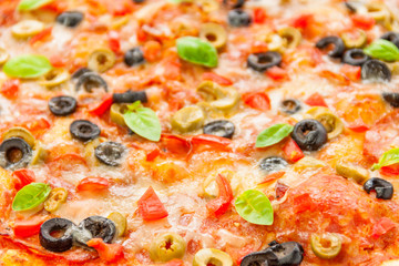 Beautiful multi colored and crispy olive pizza