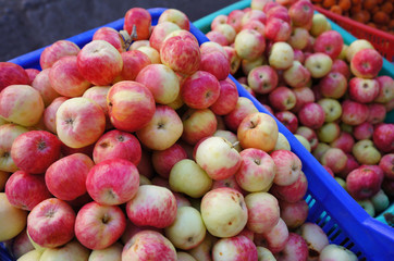apples